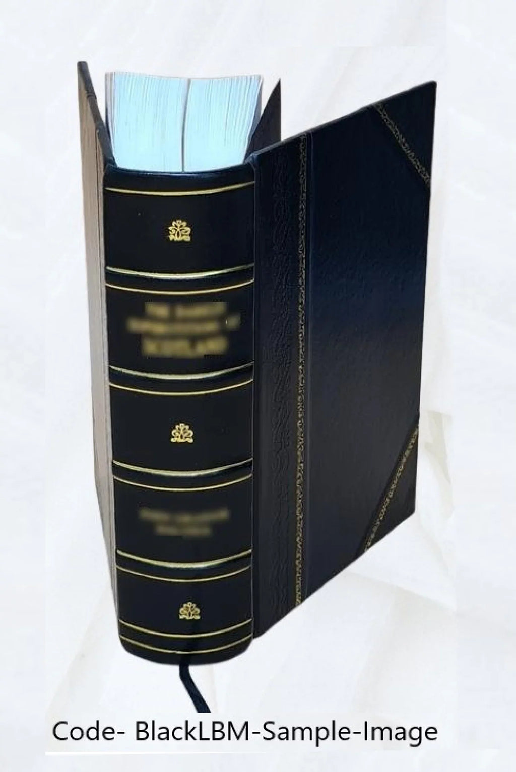 Volume Bound] Giambatista veronese, ... v.7-8 trivigiana marca 1791 [Leather e Verci Storia della di