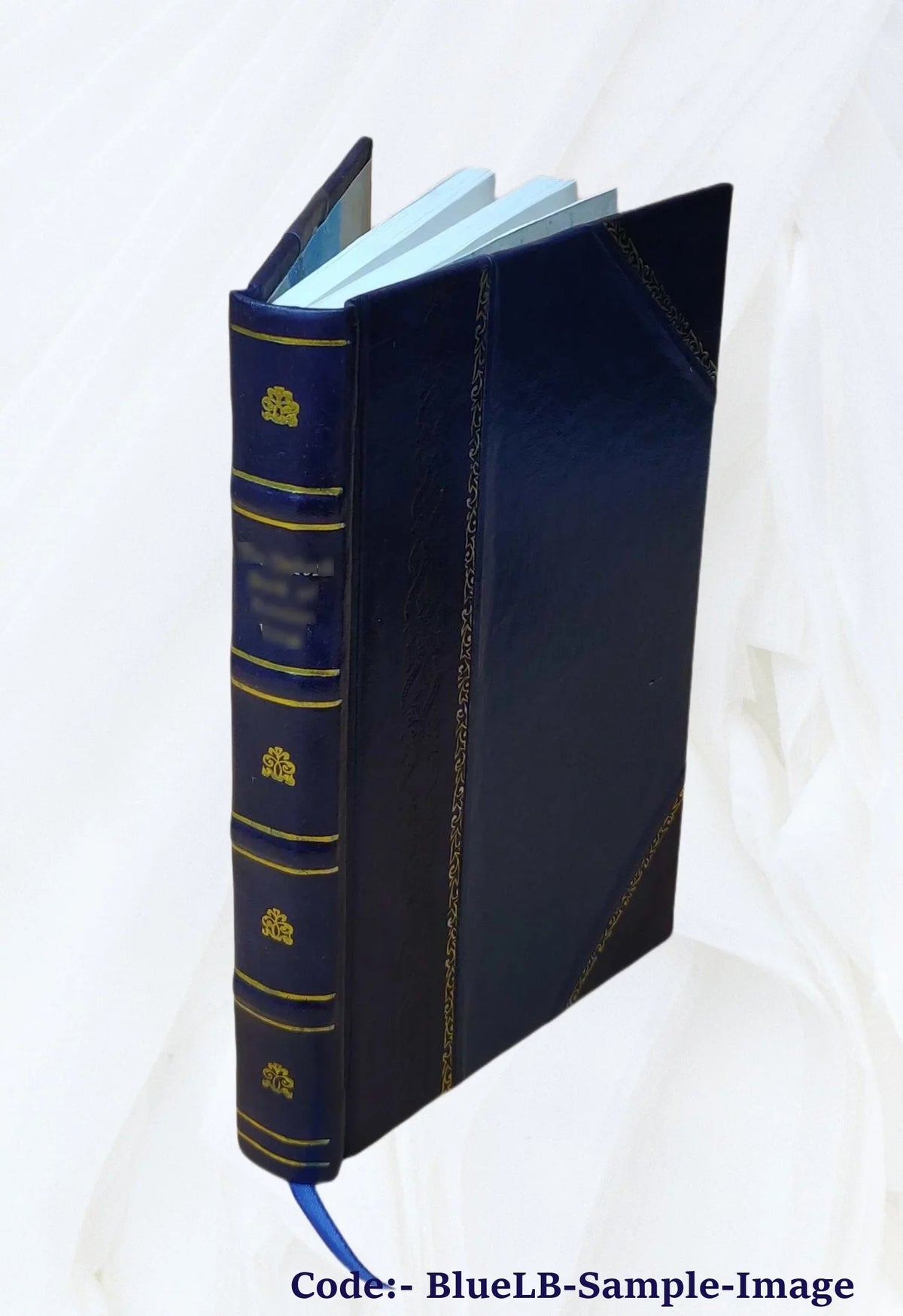 '- Basic Student Text Igbo - Course Bound] FSI [Leather