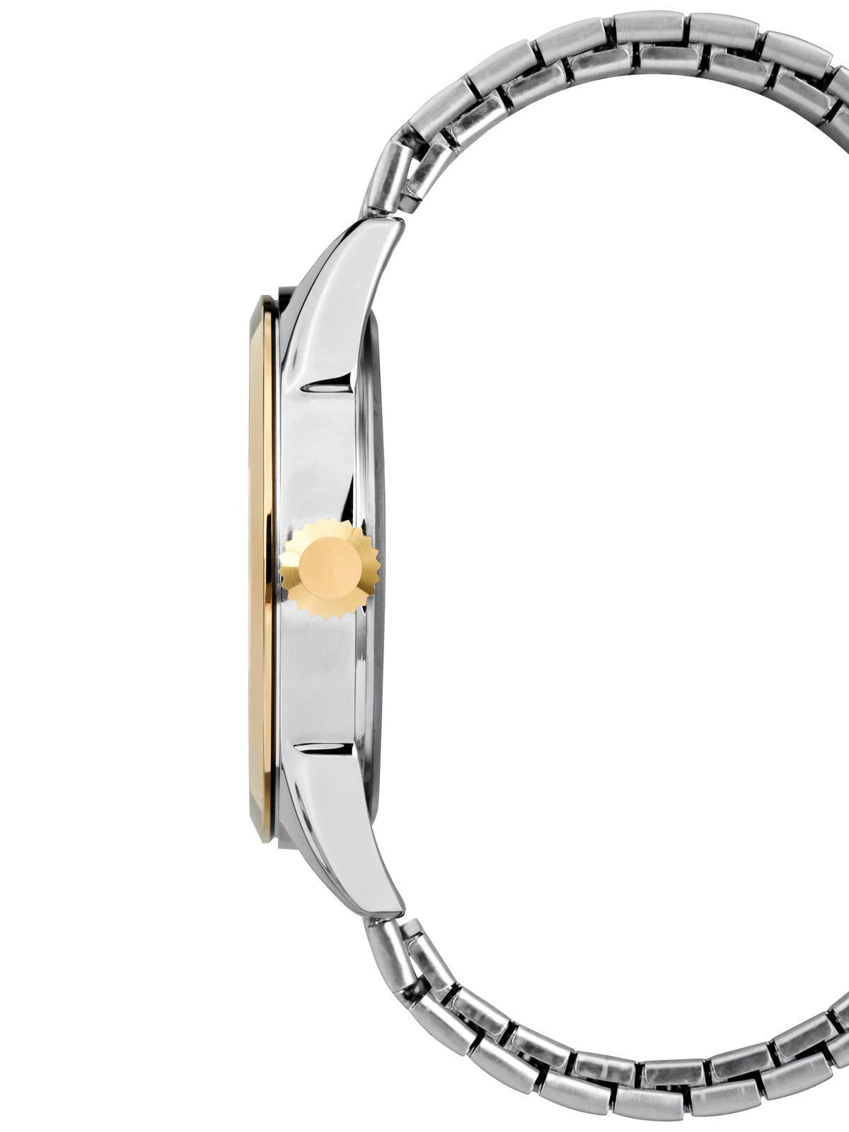 Briarwood Men's Steel Two-Tone Watch, Expansion Stainless Band