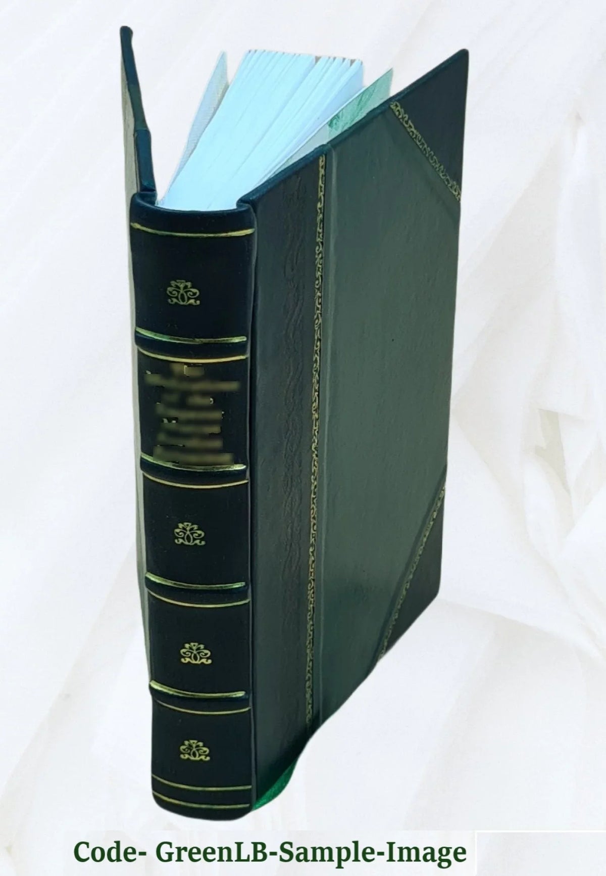 '- Basic Student Text Igbo - Course Bound] FSI [Leather