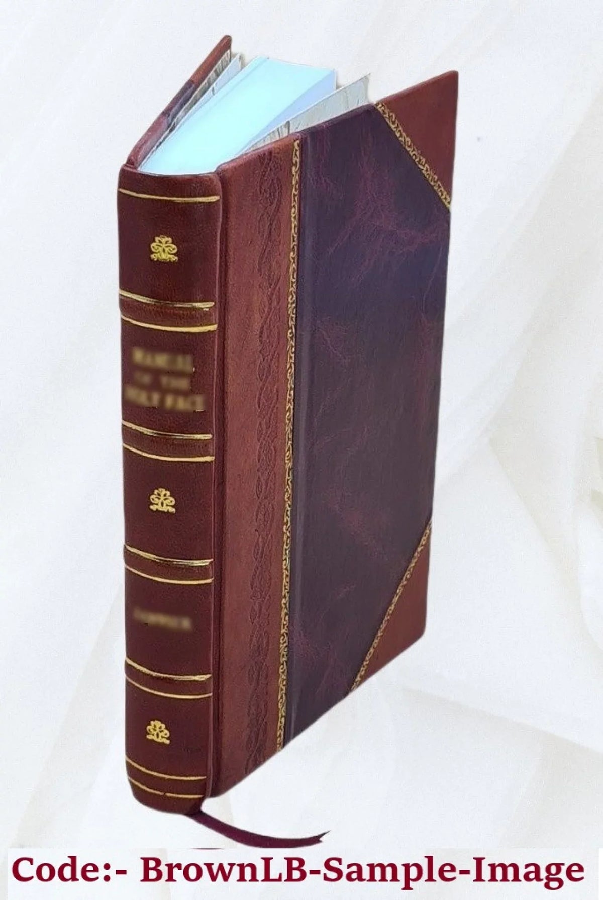 (1905) of [Leather Psi Volume The v.5 Frater 1905 Bound] Omega.